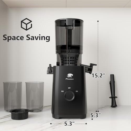Cold Press Juicer
