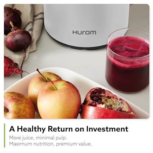 H400 Easy Clean Slow Juicer