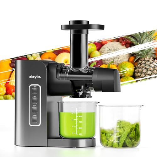 Slow juicer 2202 PR