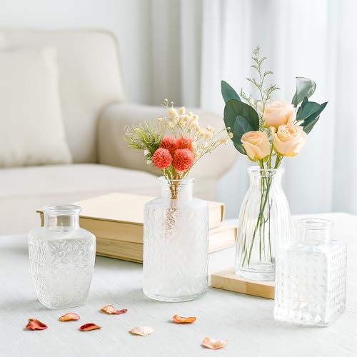 Glass Bud Vase Set