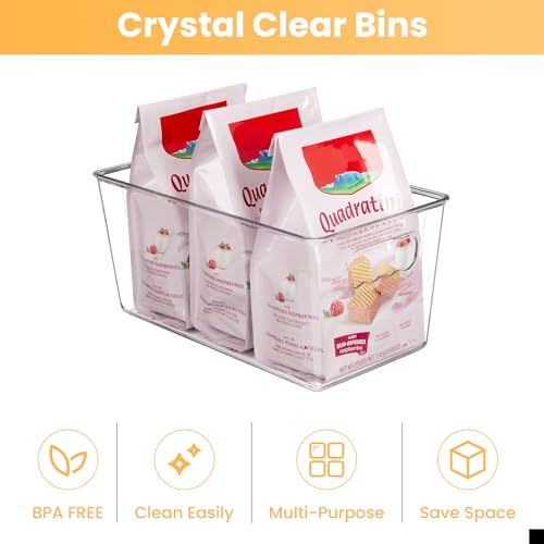 Clear Plastic Storage Bins