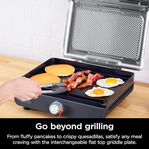 Griddle and Indoor Grill