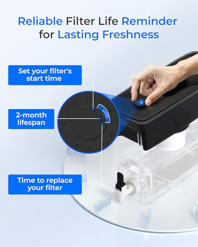 Water Filter Dispenser