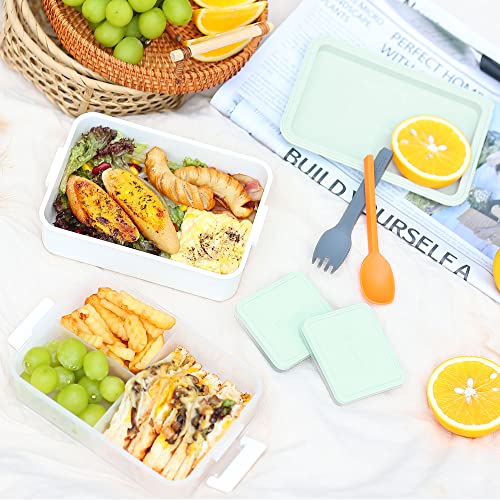 Bento Box Series