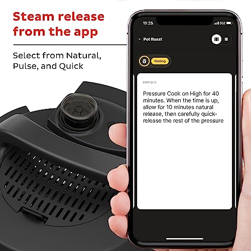 Pro Plus 6 Qt 10 (Black)