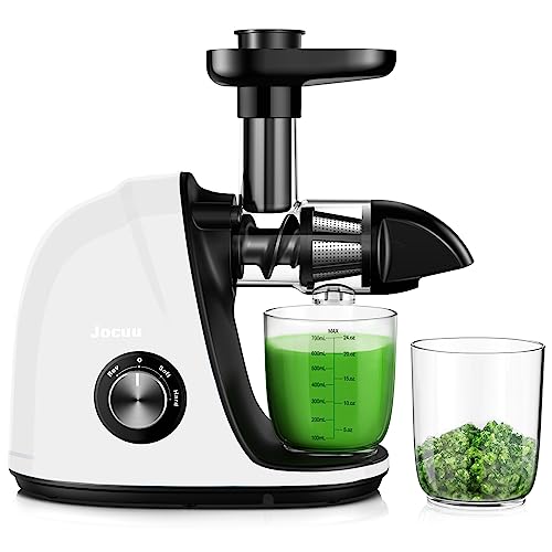 Slow Masticating Juicer with 2