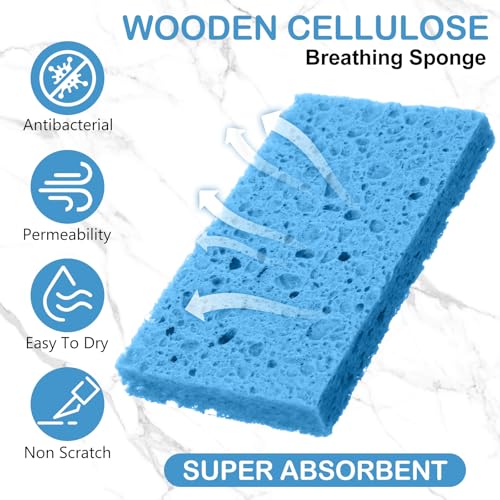 Sponges Bulk Sponges Kitchen Compressed Sponge