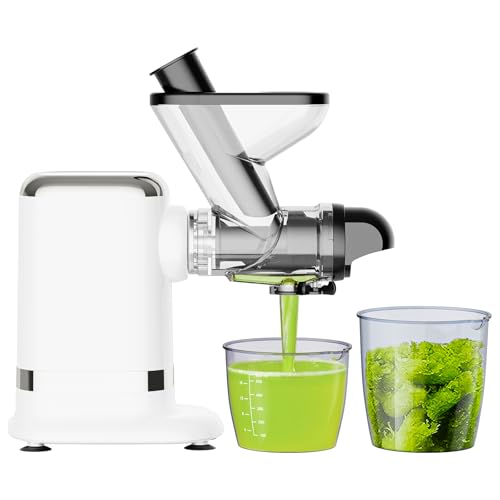 Electric juicer