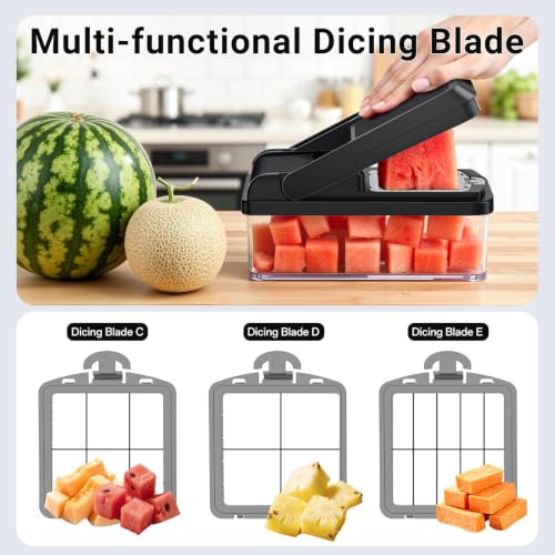 15-in-1 Vegetable Chopper with 10 Blades, Food Veggie Cutter, Gray (Gray / 10 Blades)