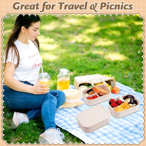 Silicone Bento Box