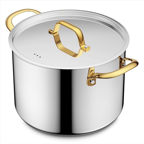 Stainless Steel Stock Pot with Lid
