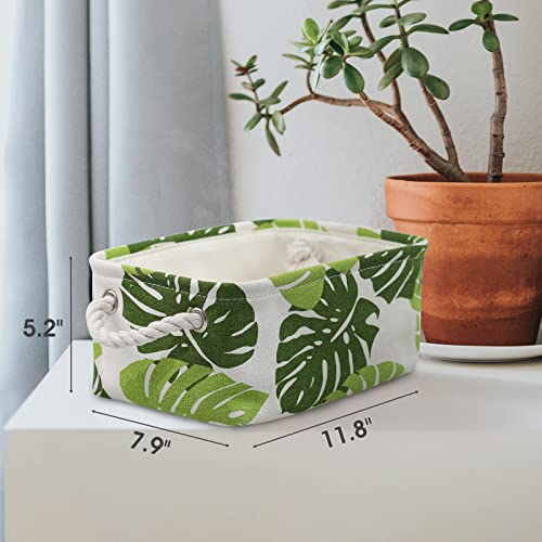 Storage Basket for Organizing