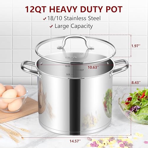 Stainless Steel Stockpot