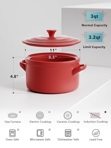 3 Quart Ceramic Dutch Oven