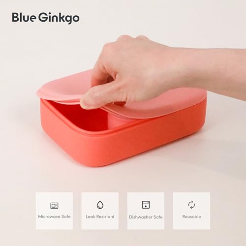 Lunch Box
