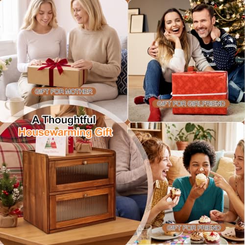 Bread Box for Kitchen Countertop (Retro Brwon / Large)