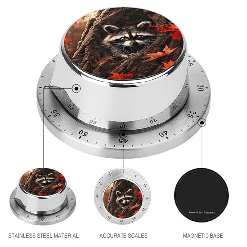 Cute Raccoon Kitchen Timer (Style-5 / One Size)