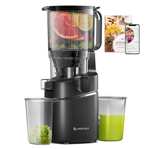 Cold Press Juicer