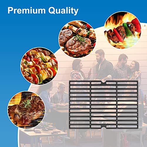 Cooking grates for dynaglo