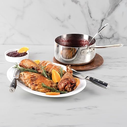 Forged Knives Carving Set (Silver/Black / 2-Piece Knife Set)