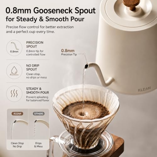 Gooseneck Electric Kettle with Temperature Control
