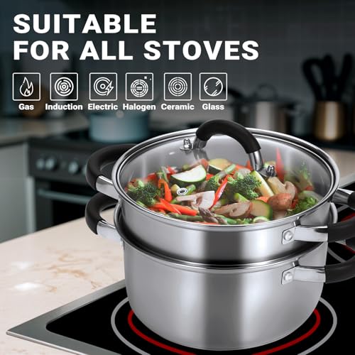 Stainless Steel Steamer for Cooking with Lid & Steamer Basket