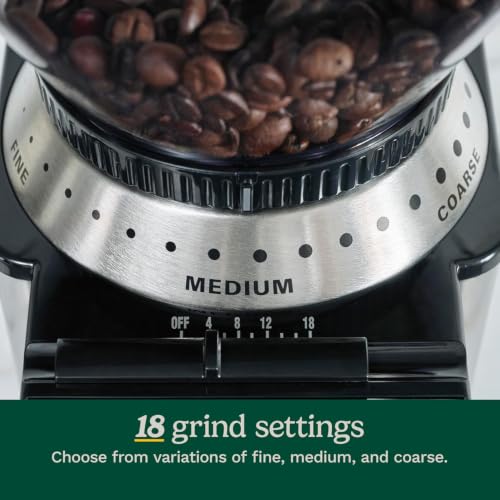 Coffee Grinder (Burr Mill / Cream)