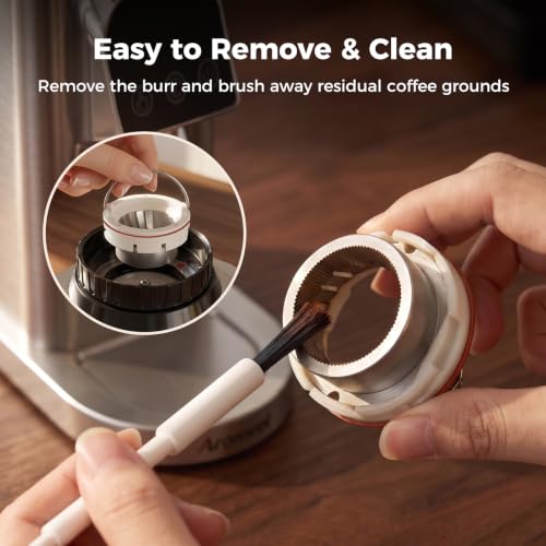 Conical Burr Coffee Bean Grinder with 48 Settings (Silver)