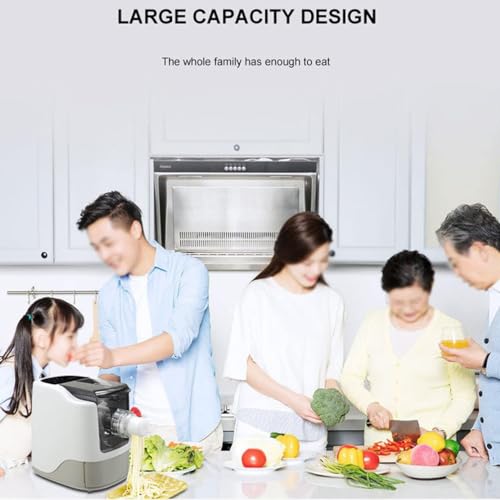 Electric Home Pasta Machine 260W Fully Automatic Noodle Pasta Maker Making Machine Pasta Extruder with 13 Noodle Molds