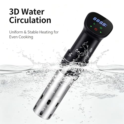 WiFi Sous Vide 1100W 220V (220V)