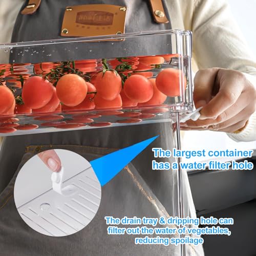 Fridge Organizers and Storage