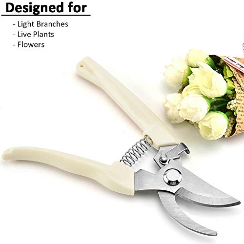 Pruning Scissors
