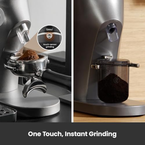 Electric Conical Burr Coffee Grinder (Gray)