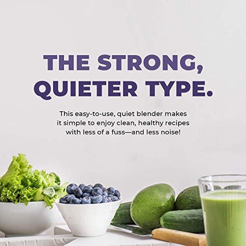 Commercial Blender with 5