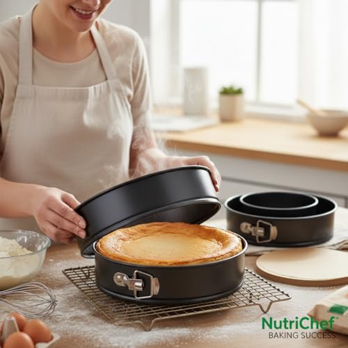Nonstick Cheesecake Springform Cake Pan Stainless Steel Clasps