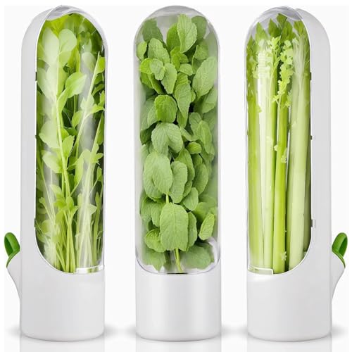 Herb Keeper for Refrigerator