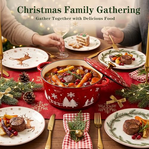 5QT Enameled Cast Iron Dutch Oven with Lid (red)