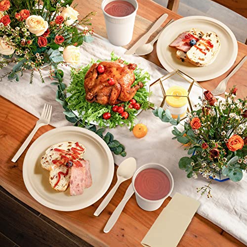Compostable Paper Plates Set 250pcs Disposable Sugarcane Plates Utensils Eco
