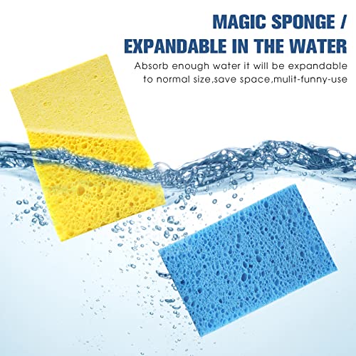 Compressed Cellulose Kitchen Sponges