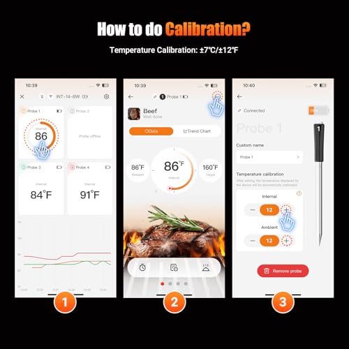 WiFi Wirless Meat Thermometer for Smoker
