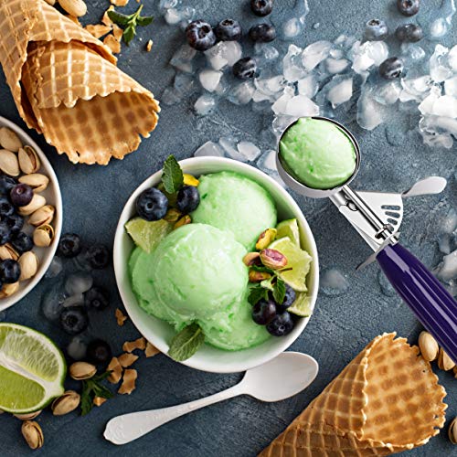 Commercial Restaurant Ice Cream Scoop Disher with Trigger