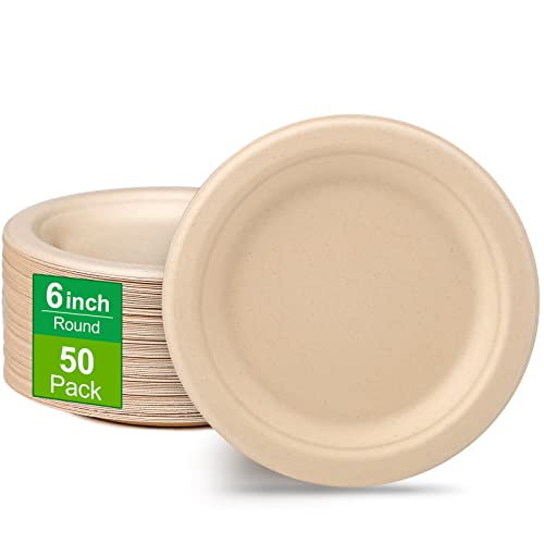 Paper Plates 6 Inch