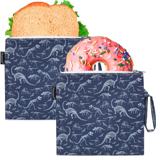 Freezable Snack Bag with Removable Ice Packs
