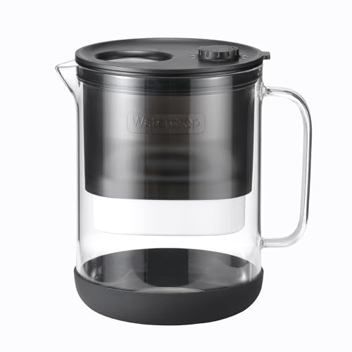 Glass Water Filter Pitcher