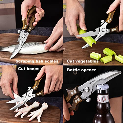 Premium Kitchen Shears