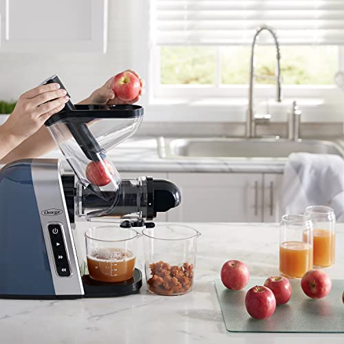 BPA Free Slow Masticating High Juice Yield with Wide Mouth Chute