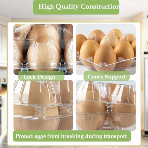 Egg Cartons