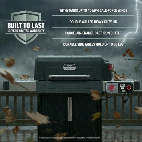 FlexFlame Grill and Smoker