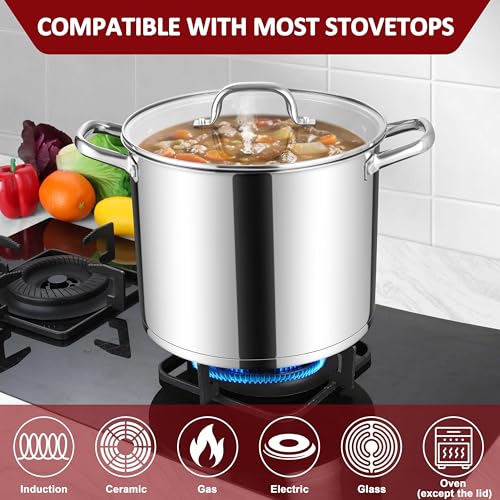 Stainless Steel Stockpot