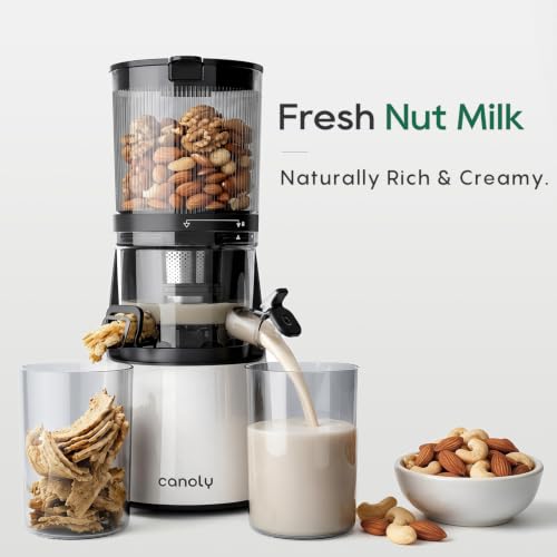 C16 Cold Press Juicer